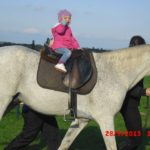 Cimg0327