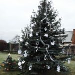 Dscf0595