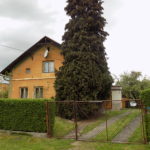 Dscn0117