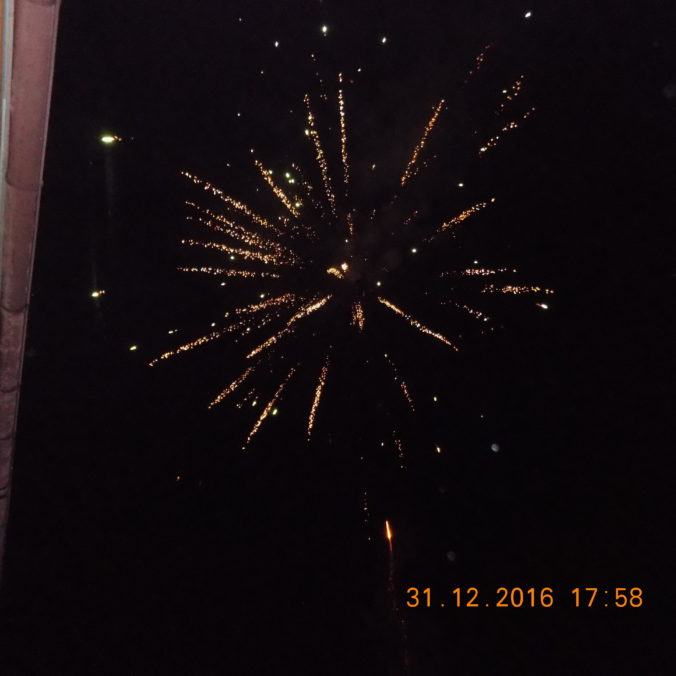 Dscn0367