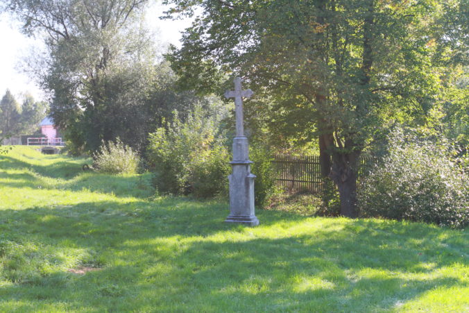 Img 0010