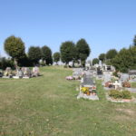 Img 0031