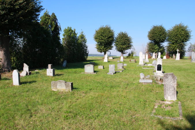 Img 0050