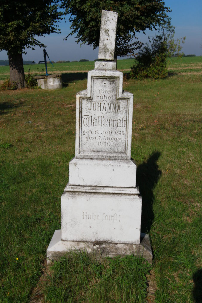Img 0062