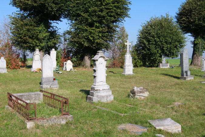 Img 0066