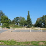 Img 9941