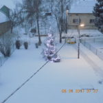 Dscn0412