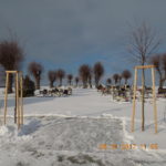 Dscn0426