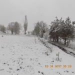 Dscn0967