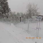 Dscn0974