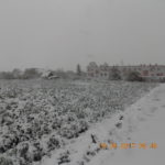 Dscn0975