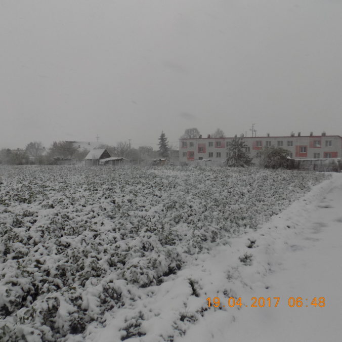 Dscn0975