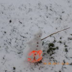 Dscn0982