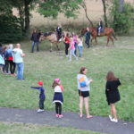 Img 7520 1