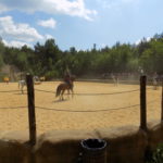Dscn0169