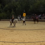 Dscn0173