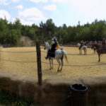Dscn0174
