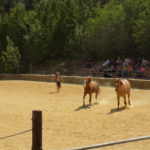 Dscn0180