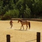Dscn0182
