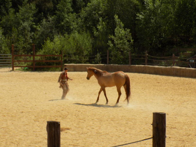 Dscn0182