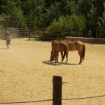 Dscn0183