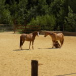 Dscn0184
