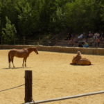 Dscn0185