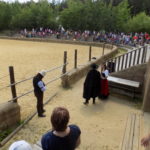Dscn0195