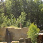 Dscn0197
