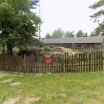 Dscn0241