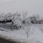 Dscn0355 kopírovat