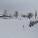 Dscn0365 kopírovat