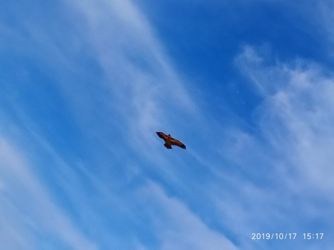 Img 20191017 151702 kopírovat